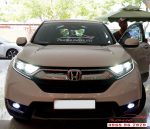 Mười Hùng Auto 235B Nguyễn Văn Cừ